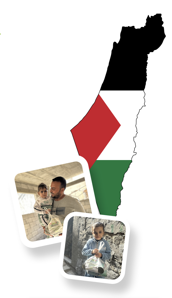 gaza distribution